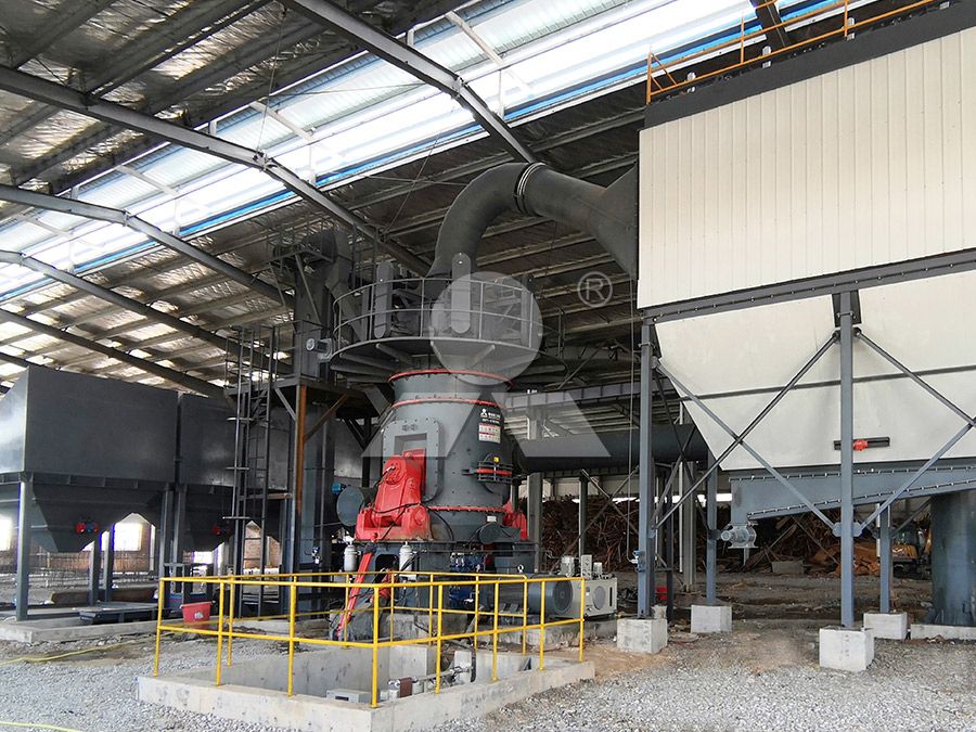 MW Ring Roller Mill internal structure