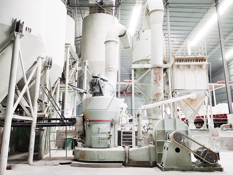 Raymond mill application in mineral processing